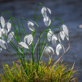 Travellers Finds African Creations Handmade Treasures