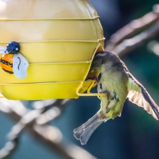 Travellers Finds African Creations Handmade Treasures