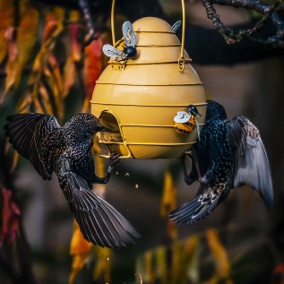 Travellers Finds African Creations Handmade Treasures