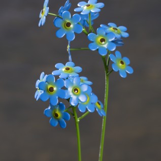 Travellers Finds Valentine's Day Gift Ideas