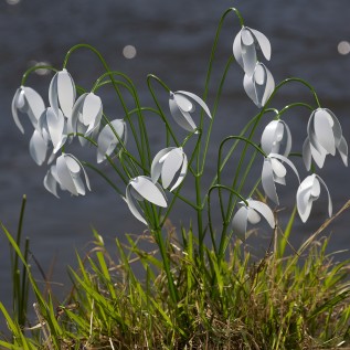 Travellers Finds Valentine's Day Gift Ideas