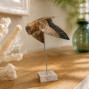 Wooden hand carved and painted flying owl on plinth
