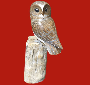 a beautifully hand carved and hand painted owl sitting on a unique and natural piece of wood.