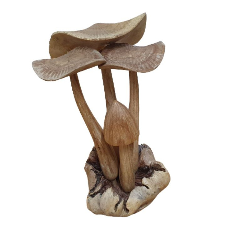 A set of hand carved mushrooms and toadstools mounted on a unique piece of decorative parasite wood