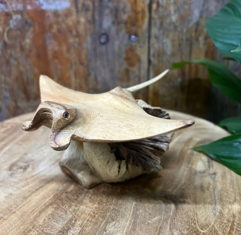 a hand carved small manta ray mounted on parasite wood