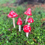 a beautiful set of 5 ceramic toadstools vibrant colours of red and white.