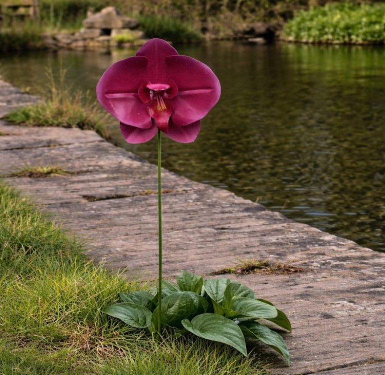 an image of a single stem orchid