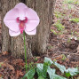an image of a single stem handcrafted handmade metal pink orchid flower ornament