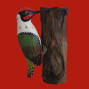 An image of a green hand painted hand carved wooden woodpecker hanging onto a unique piece of wood
