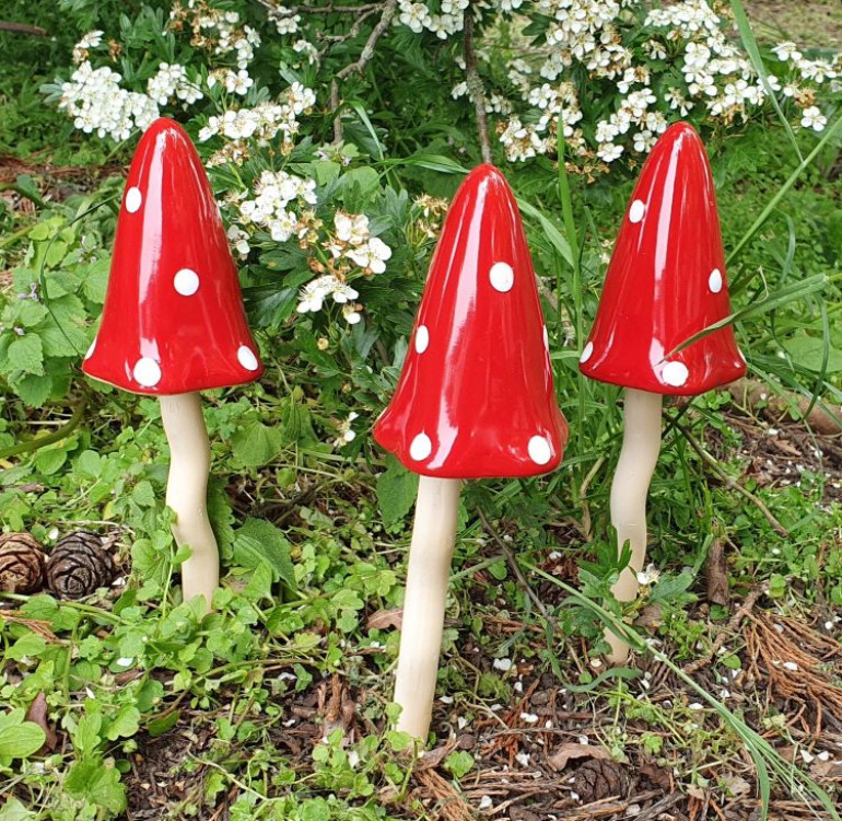 an image of tinkling toadstools, brightly coloured red with white polka dots for the garden