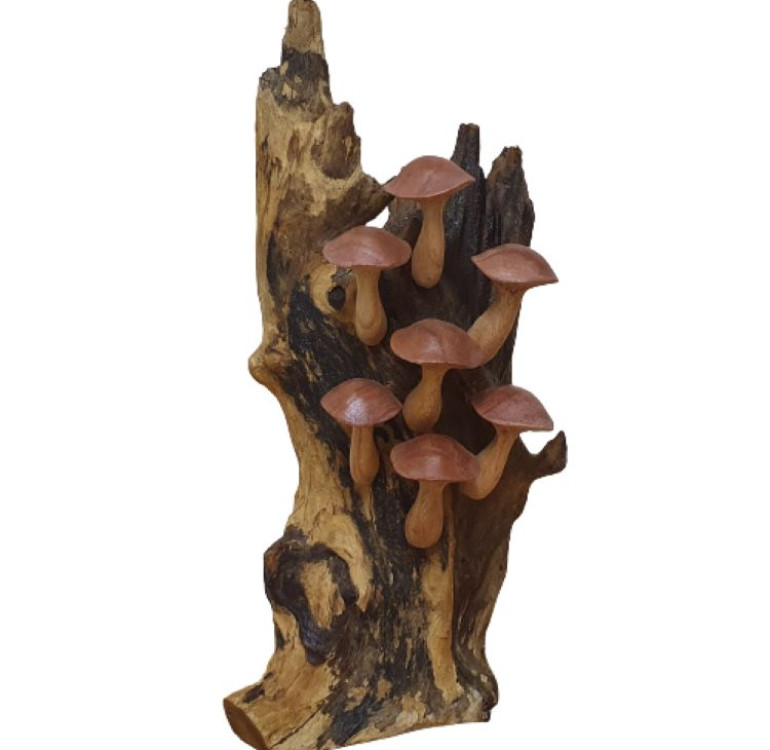 a hand carved wooden mushroom sculpture, 7 hand carved mushrooms placed on a natural piece of jempinis wood