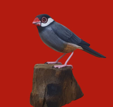 a hand carved and hand painted Java Sparrow standing on a piece of wood
