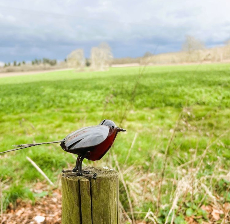 Recycled Metal Open Wing Robin