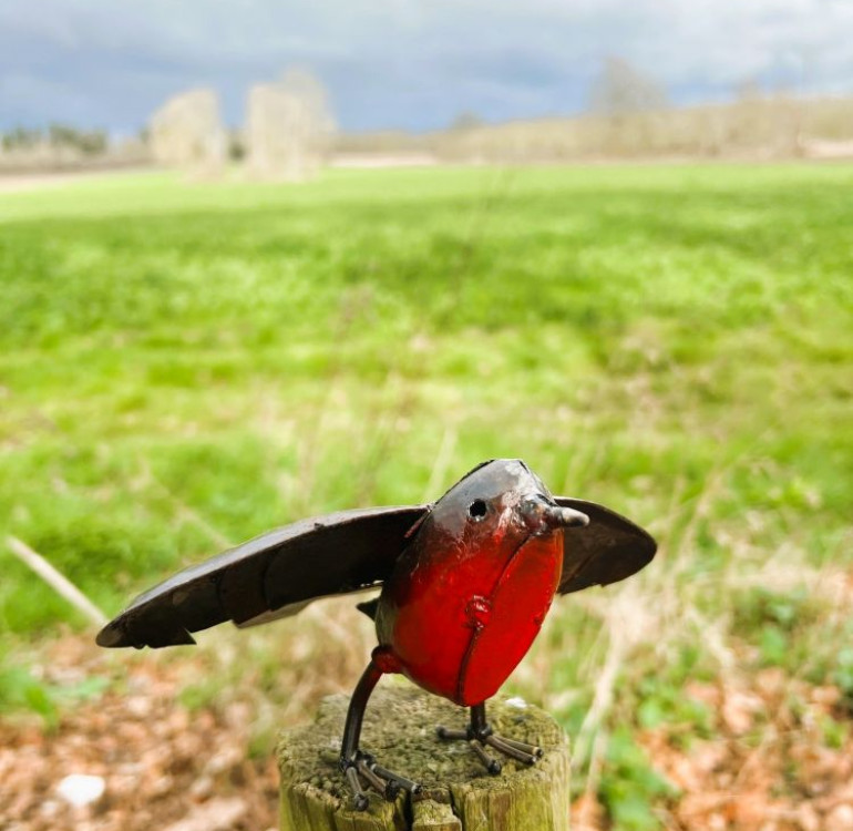 Recycled Metal Open Wing Robin