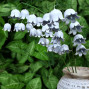 Handmade Metal Flowers Bluebell
