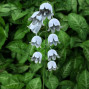 Handmade Metal Flowers Bluebell