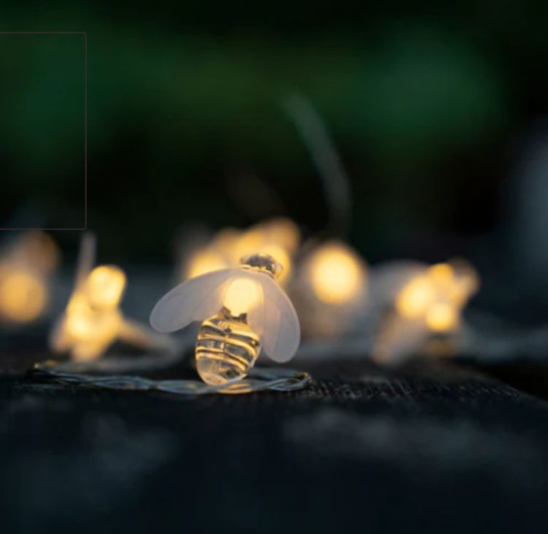 a string of solar powered bee lights