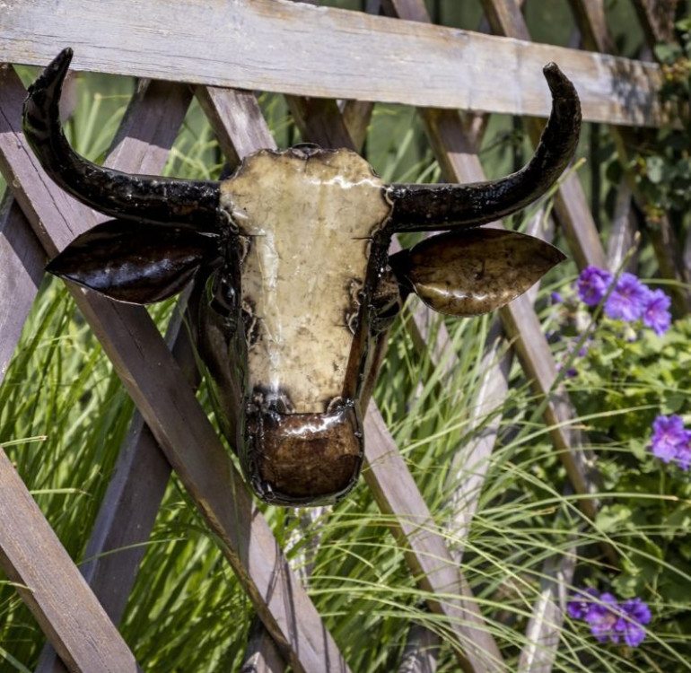 a handmade metal short horn cow head outdoor sculpture