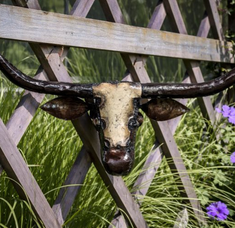 a handmade metal short horn cow head outdoor sculpture