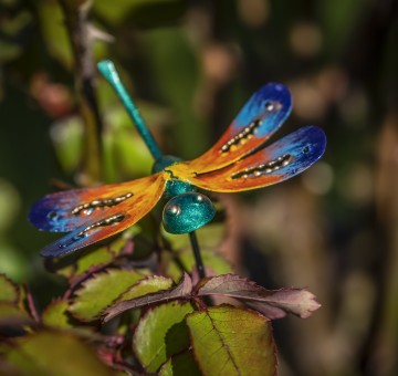 Mini Pot Stakes Dragonfly