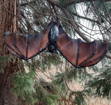 Hanging Bat with Open Wing