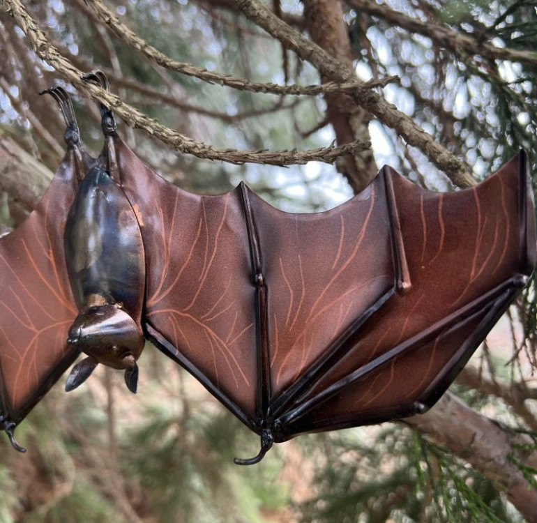 Hanging Fruit Bat with Open Wings