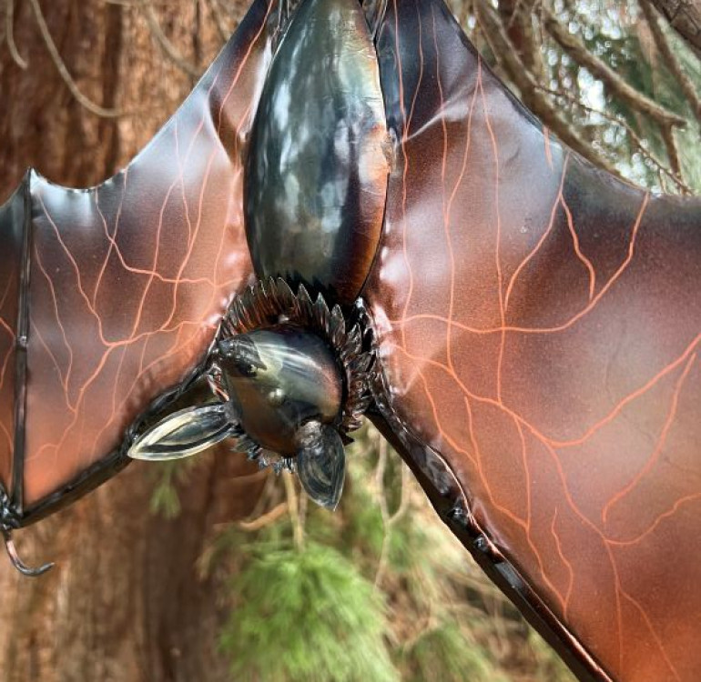 Hanging Bat with Folded Wings