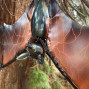Hanging Bat with Folded Wings