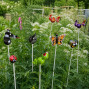 various metal cane toppers.