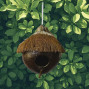 a handmade coconut nesting box with entrance hole and perch