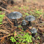Recycled Metal Mushrooms set of 3