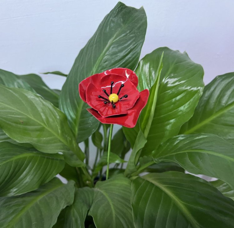 a metal outdoor indoor mini plant stake for your pot in the design of a bright red poppy on stem