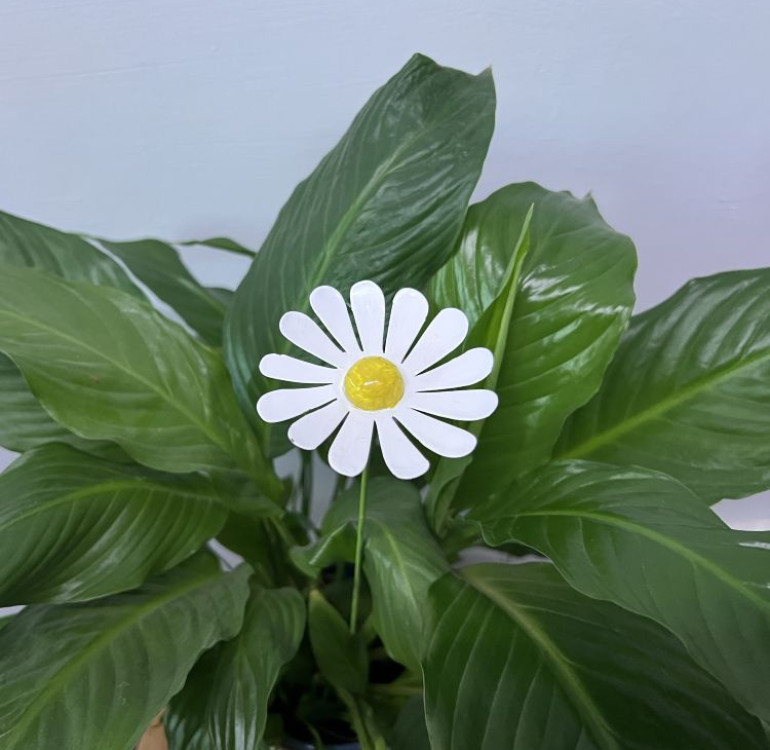 a metal outdoor indoor mini plant stake for your pot in the design of a summer meadow daisy