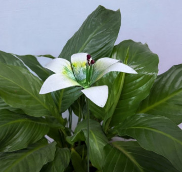 a metal outdoor indoor mini plant stake for your pot in the design of a white flower