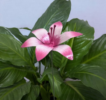 a metal outdoor indoor mini plant stake for your pot in the design of a white flower