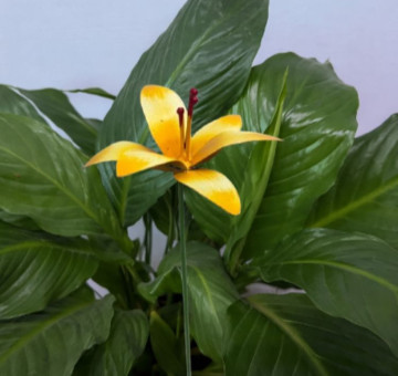 a metal outdoor indoor mini plant stake for your pot in the design of a yellow flower