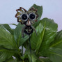 a metal outdoor indoor mini plant stake for your pot in the design of an owl