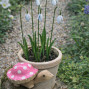 a little hand carved and hand painted little wooden turtle sculpture for the garden. A little pop of characterful colour