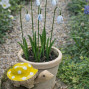 a little hand carved and hand painted little wooden turtle sculpture for the garden. A little pop of characterful colour