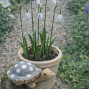 a little hand carved and hand painted little wooden turtle sculpture for the garden. A little pop of characterful colour