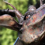 Large Recycled Metal antelopes