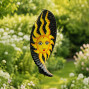 Black wooden sun and moon spinner