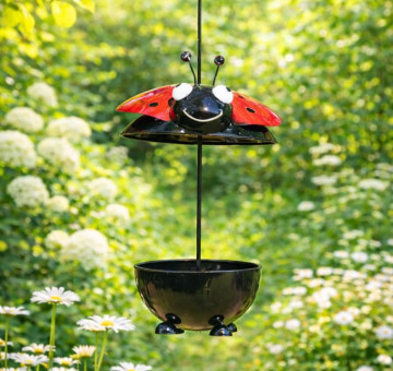 Ladybird Feeder