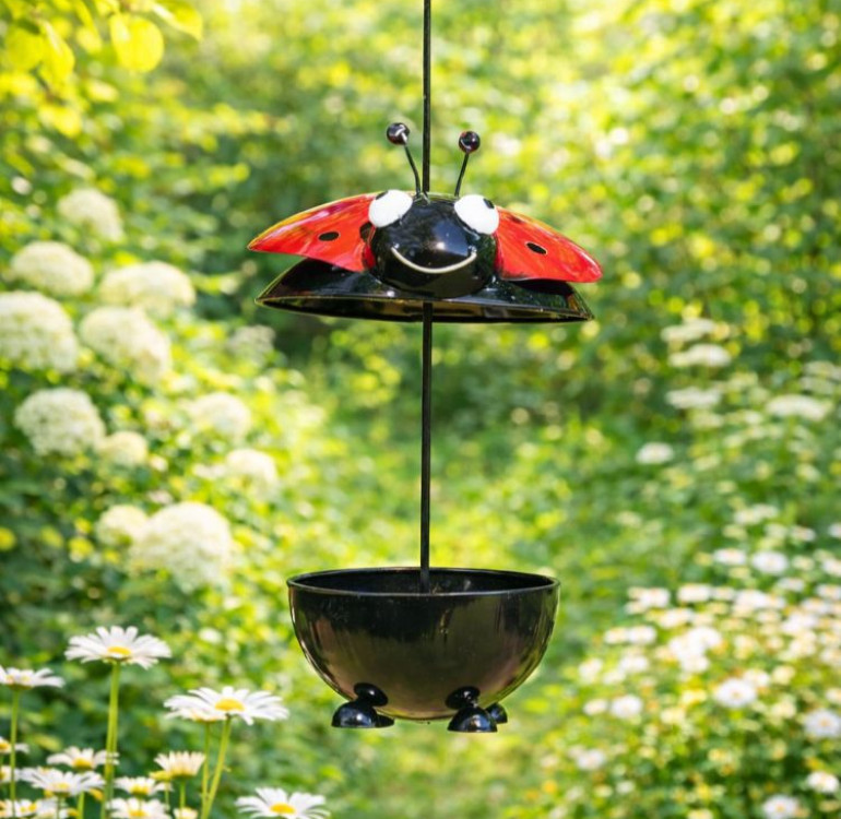Ladybird Feeder
