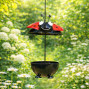 Ladybird Feeder