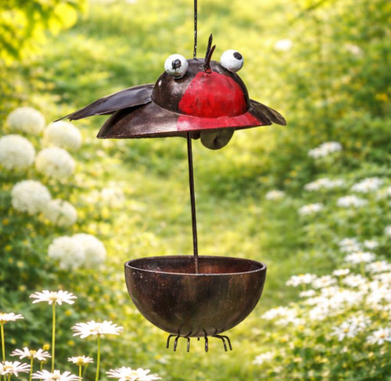 Robin Redbreast Bird Feeder