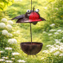 Robin Redbreast Bird Feeder