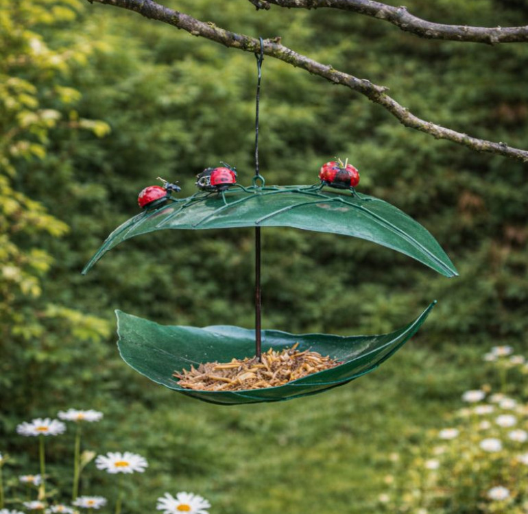 Leaf Bird Feeder With Ladybirds