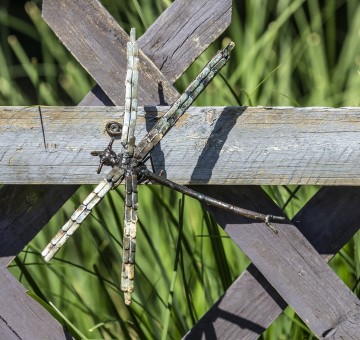 Hand Crafted Metal Dragonfly