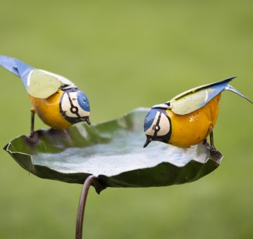 Blue Tit on Leaf Bird Feeder
